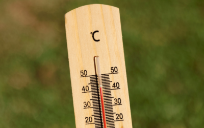 Conseils pour votre Maison et votre Bien-être pendant une Canicule !