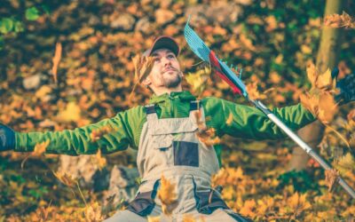 Préparez Votre Jardin pour les Jours Froids !