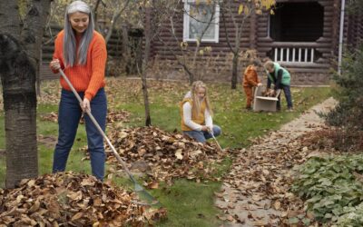 Préparez Votre Jardin pour les Jours Froids !