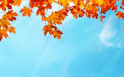 Bonjour l’Automne, Bonjour Confort